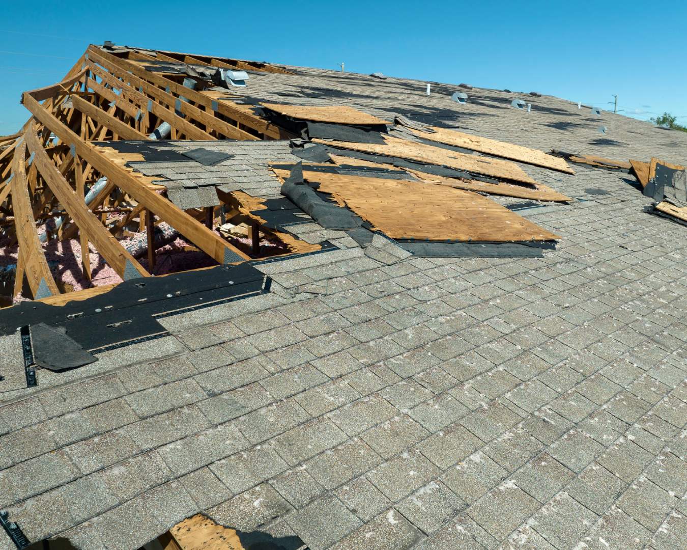 Disaster Restoration